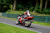 cadwell-no-limits-trackday;cadwell-park;cadwell-park-photographs;cadwell-trackday-photographs;enduro-digital-images;event-digital-images;eventdigitalimages;no-limits-trackdays;peter-wileman-photography;racing-digital-images;trackday-digital-images;trackday-photos